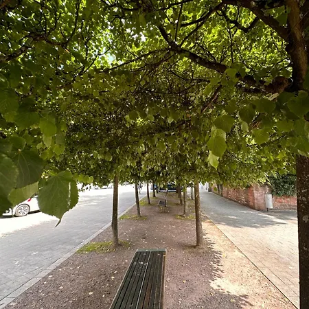 Amao-curry - Center - 100 M2 - 7 Personen - Balkon - 2 Schlafzimmer - Kingsize Betten Appartement Lahr/Schwarzwald