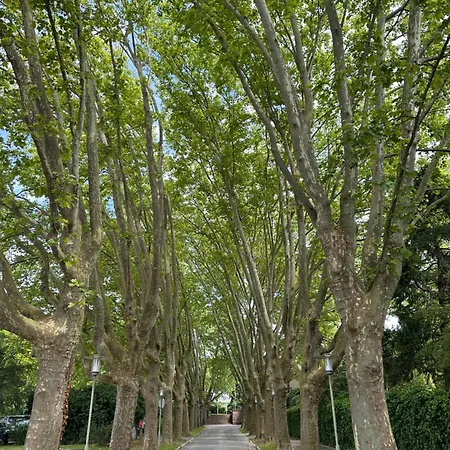 Amao-curry - Center - 100 M2 - 7 Personen - Balkon - 2 Schlafzimmer - Kingsize Betten Apartmán