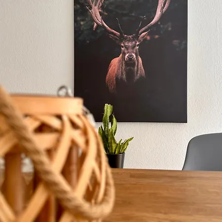 Appartement Amao-curry - Center - 100 M2 - 7 Personen - Balkon - 2 Schlafzimmer - Kingsize Betten Lahr/Schwarzwald